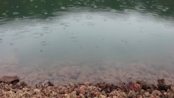 Капли Дождя Падают Водную Поверхность Горного Озера Круги Больших Дождевых — стоковое видео