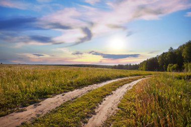Bir yol ile kırsal manzara. Yol ufuk ötesine gider. Güneşli yaz gün