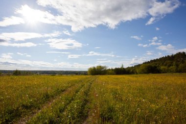 Bir yol ile kırsal manzara. Yol ufuk ötesine gider. Güneşli yaz gün