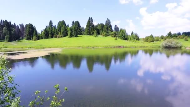 美丽的夏季景观与湖泊和森林 相机在一个圆圈中移动 — 图库视频影像