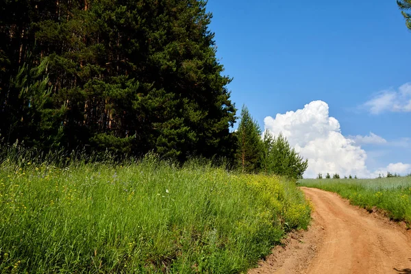 道路と雲の美しい夏の風景 太陽に照らされた緑の風景 ヨーロッパ — ストック写真