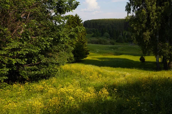 Güzel yaz, yatay, yol ve bulutlar. Yeşil manzara güneş tarafından aydınlatılmış. Europe