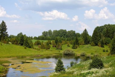 Güzel yaz peyzaj göl ve çim ile sıcak. Yeşil ve mavi gökyüzü arka plan üzerinde bir su birikintisi