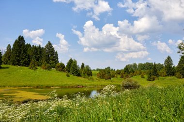 Güzel yaz peyzaj göl ve çim ile sıcak. Yeşil ve mavi gökyüzü arka plan üzerinde bir su birikintisi