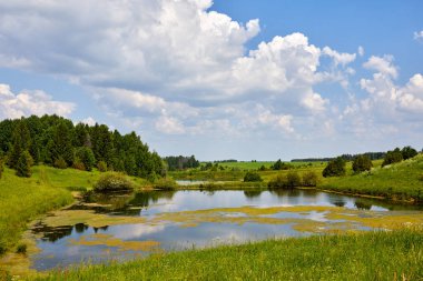 Güzel yaz peyzaj göl ve çim ile sıcak. Yeşil ve mavi gökyüzü arka plan üzerinde bir su birikintisi