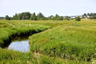 Güzel yaz peyzaj göl ve çim ile sıcak. Yeşil ve mavi gökyüzü arka plan üzerinde bir su birikintisi