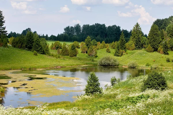 温暖美丽的夏季风景与湖泊和草地 绿意盎然 蓝天背景的池塘 — 图库照片