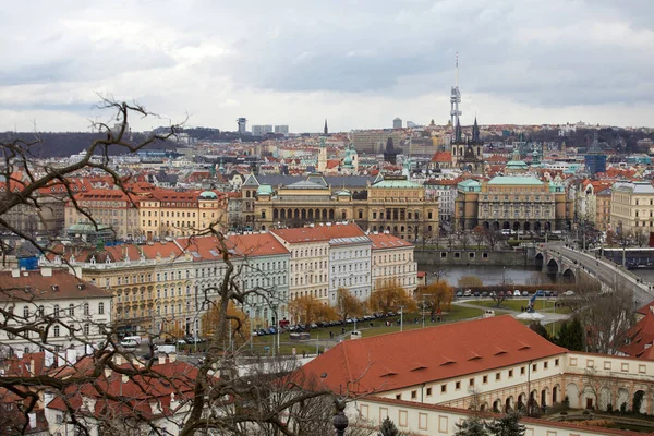 Domy Červenými Střechami Tradiční Praze Česká Republika Pohled Shora — Stock fotografie