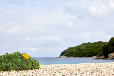 Seyahat ve aktif yaşam tarzı kavramı. Taş plaj ve sıcak deniz. Güneşli bir günde parlak sarı renkler. Yunanistan Europe