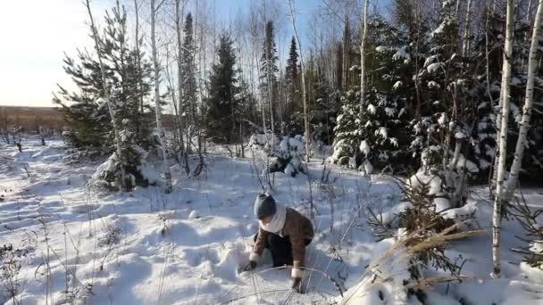 Молодая Девушка Покрывает Себя Снегом Зимняя Солнечная Развлекательная Сцена Фоне — стоковое видео