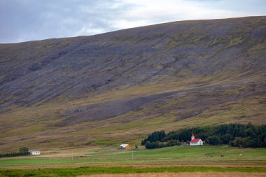 İzlanda Europ tarımda. Çiftlikleri ve alanların görünümünü