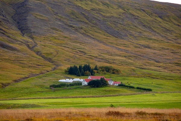 Jordbruket Island Europ Utsikt Över Gårdar Och Fält — Stockfoto