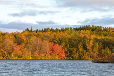 Sonbahar Orman ve gölün yüzeyinde görünümünü. Su ve parlak bitki örtüsü ile güzel sonbahar manzara. İzlanda. Europe