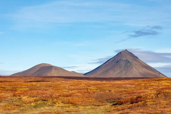 Widokiem Wulkan Piękny Krajobraz Jesień Góry Jasne Roślinności Islandia Europy — Zdjęcie stockowe