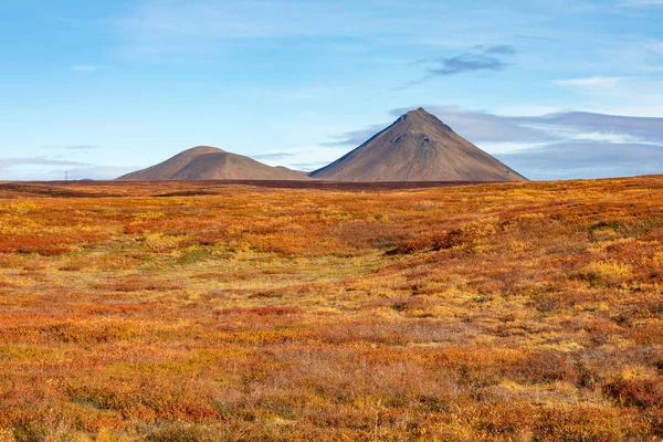 Вид Вулкан Красивый Осенний Пейзаж Горами Яркой Растительностью Исландия Европа — стоковое фото