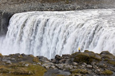 Sarı ön planda ünlü İzlandalı dev Dettifoss Şelalesi ve bir kadın giyinmiş.