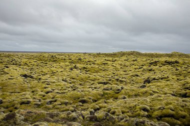 İceless yatay, moss, lav, taş ve liken.