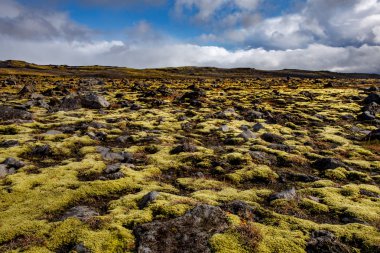 İceless yatay, moss, lav, taş ve liken.