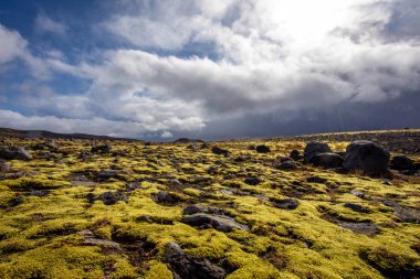 İceless yatay, moss, lav, taş ve liken.