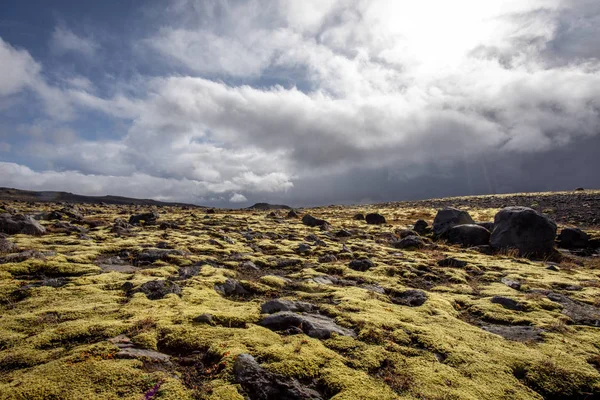 冰岛人风景与苔藓 石头和地衣 — 图库照片