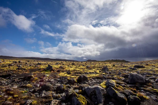 Исландский Пейзаж Мхом Лавой Камнем Лишайником — стоковое фото