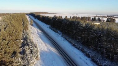 Aerial view of a country road in the forest. Cinematic drone shot over a gravel road in a pine forest