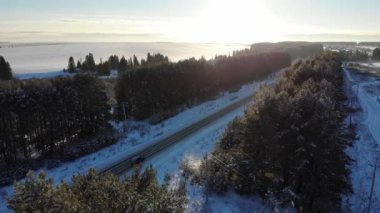 Aerial view of a country road in the forest. Cinematic drone shot over a gravel road in a pine forest