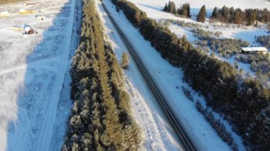 Aerial view of a country road in the forest. Cinematic drone shot over a gravel road in a pine forest