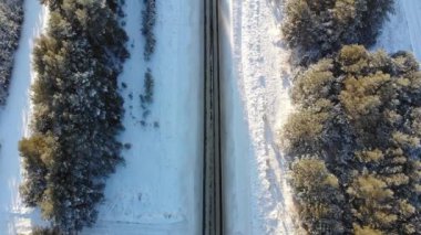 Aerial view of a country road in the forest. Cinematic drone shot over a gravel road in a pine forest