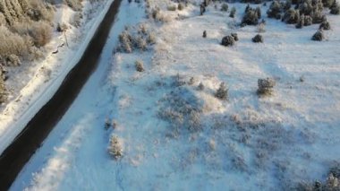 Hava karla kaplı ağaçlar dron'un vurdu. Mükemmel kış yumuşak görüntüleri manzara yukarıdan ateş bir çam ormanı ile