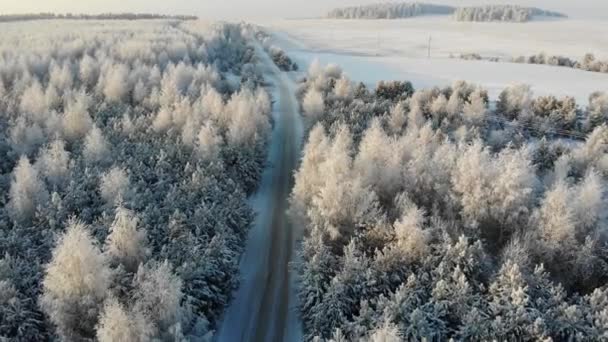 Antenowe Ośnieżone Drzewa Strzał Drone Materiał Bajki Zima Krajobraz Lasem — Wideo stockowe