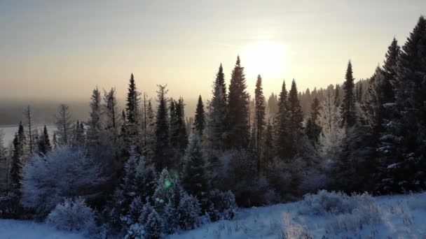 Árvores Cobertas Neve Aérea Disparadas Drone Filmagem Uma Paisagem Perfeita — Vídeo de Stock