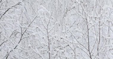 Kar düşüyor ve swirls