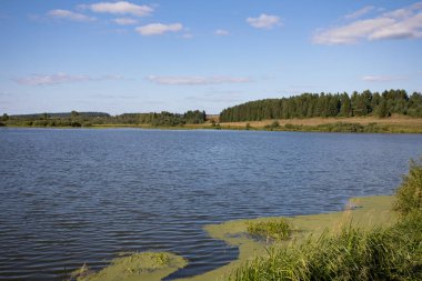Güzel yaz manzara nehir ve yeşillik ile. Su gökyüzünün yansıması