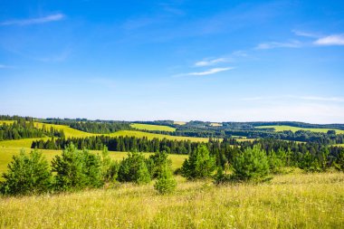 Güzel yaz yatay, pulluk ve güneşli bir orman