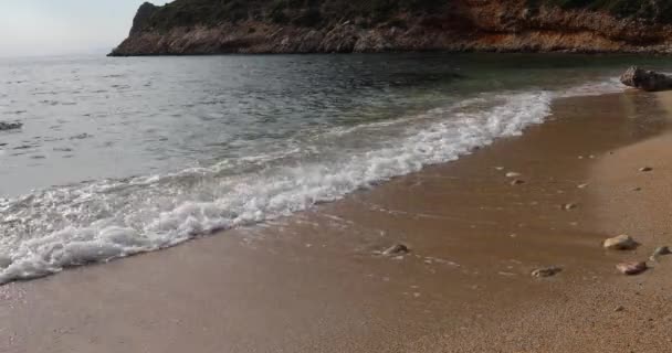 ビーチの上に実行されます 青い海の水のベラ 日当たりの良い書斎で暖かい塩辛い海 休暇と残りの部分のための静かな場所 — ストック動画