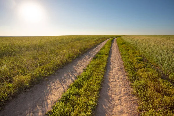 地平線を超えたフィールドでの未舗装道路 太陽光線を照らす麦畑 — ストック写真
