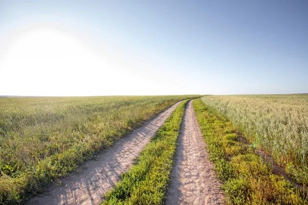地平線を超えたフィールドでの未舗装道路 太陽光線を照らす麦畑 — ストック写真