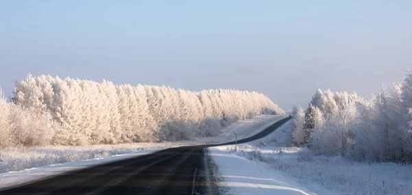 Winter Road Black Highway Goes White Snow Covered Forest Frosty — Stock Photo, Image