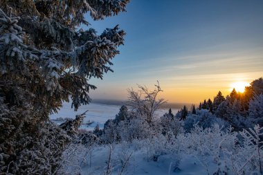 Kış manzarası. Kışın buz gibi güneşli gün. Orman beyaz kar altında.