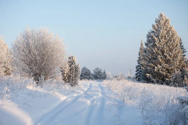 Paisagem Inverno Dia Ensolarado Gelado Inverno Floresta Sob Neve Branca — Fotografia de Stock