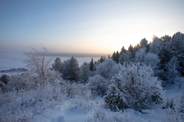 Paisagem Inverno Dia Ensolarado Gelado Inverno Floresta Sob Neve Branca — Fotografia de Stock