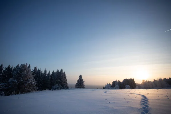 Paisagem Inverno Dia Ensolarado Gelado Inverno Floresta Sob Neve Branca — Fotografia de Stock