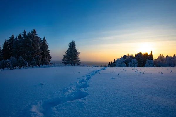 Зимний Пейзаж Холодный Солнечный День Зимой Лес Белым Снегом — стоковое фото
