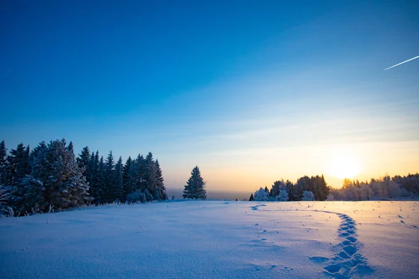 Paisagem Inverno Dia Ensolarado Gelado Inverno Floresta Sob Neve Branca — Fotografia de Stock