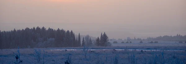 Winter Landscape Frosty Sunny Day Winter Forest White Snow — Stock Photo, Image