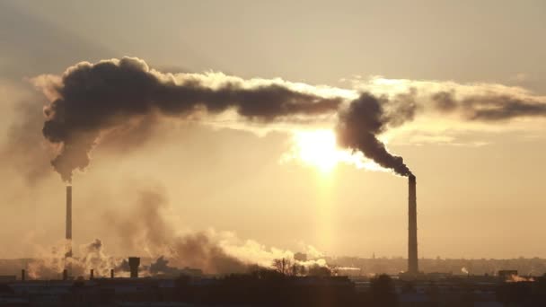 Typu Przemysłowego Rur Których Dym Odpady Przemysłowe Zanieczyszcza Atmosfery Ziemi — Wideo stockowe