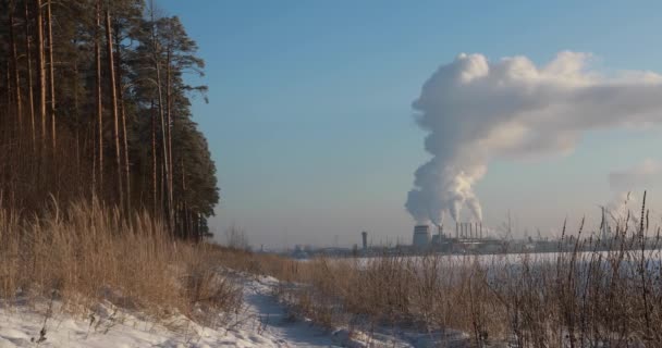 煙がから工業用パイプの型です 産業廃棄物が地球の大気を汚染します — ストック動画