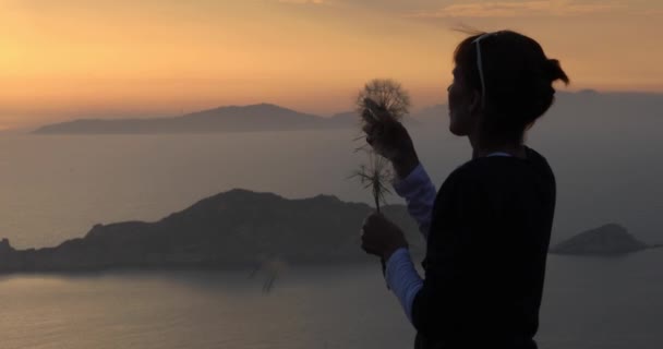 タンポポを吹く少女 タンポポのスプレッド 海と夕日の背景に — ストック動画