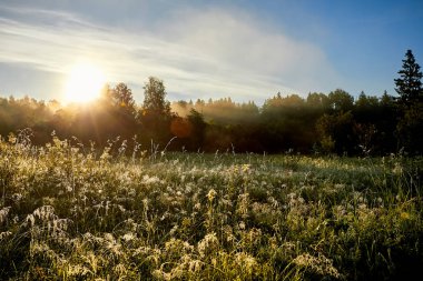 Erken sabah Nehri üzerinde. güzel yaz yatay, Güneş ve sis